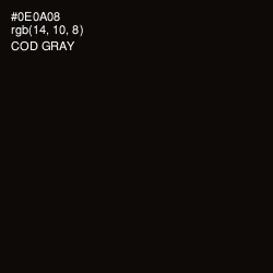 #0E0A08 - Cod Gray Color Image